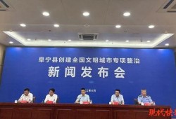 阜宁最新爆料案件新闻发布会,新闻发布会揭露案情细节