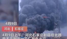 河北唐县爆料事件视频曝光,真相揭开，舆论热议