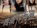 青春忏悔录电视剧全集在线观看,全集剧情回顾，揭开青春岁月的伤痕