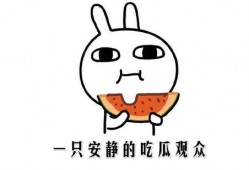 快手网红吃瓜事件,揭秘网络舆论背后的真相与争议
