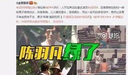 爆料歌手出轨视频大全,揭秘歌手出轨视频大全